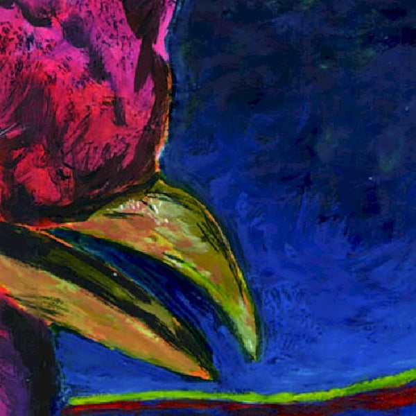 Merzbow - Plasma door (CD) - Velvet Music