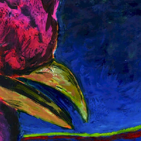 Merzbow - Plasma door (CD) - Velvet Music