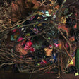 Merzbow - 27 august 2006 (CD) - Velvet Music