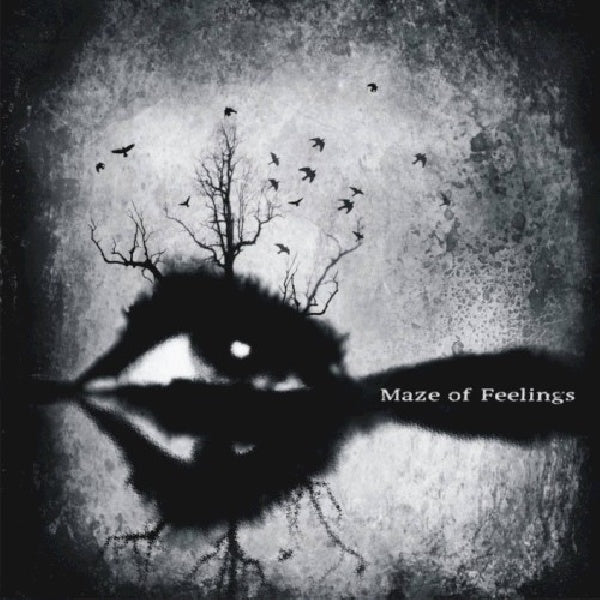 Maze Of Feelings - Maze of feelings (CD) - Velvet Music