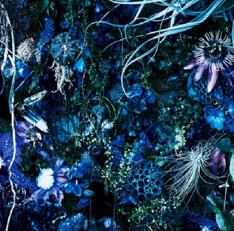 Sugizo - Oneness m (CD) - Velvet Music