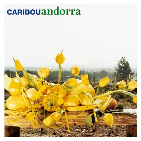 Caribou - Andorra (CD) - Velvet Music