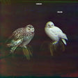 Dungen - Haxan (CD) - Velvet Music