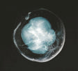 A Winged Victory For The Sullen - Undivided five (CD)
