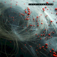 Jack Sparrow - Circadian (CD) - Velvet Music