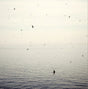 On - Your naked ghost comes back (CD) - Velvet Music