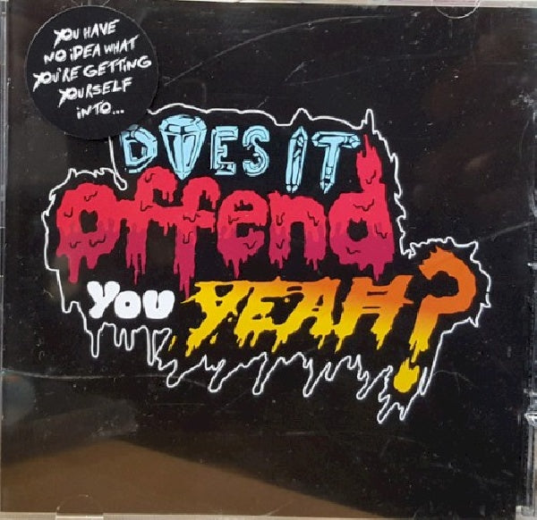 Yeah? Does It Offend You - You have no idea what you're getting yourself into (CD)