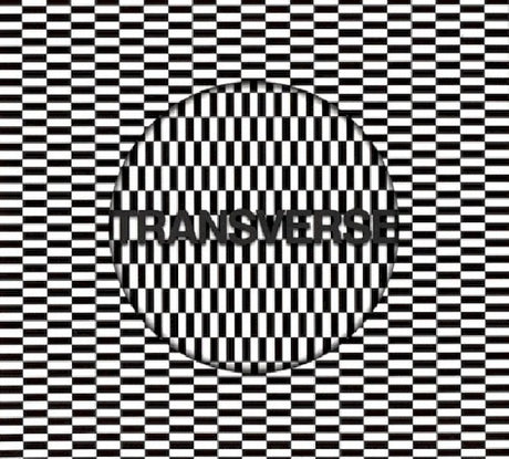 Carter Tutti Void - Transverse (CD) - Velvet Music