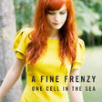 A Fine Frenzy - One cell in the sea (CD) - Velvet Music