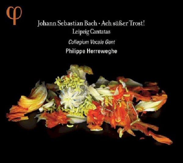 Johann Sebastian Bach - Ach susser trost (CD)