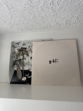 Bowl (4) - The Rude Interruption Of Fear (LP) - Velvet Music