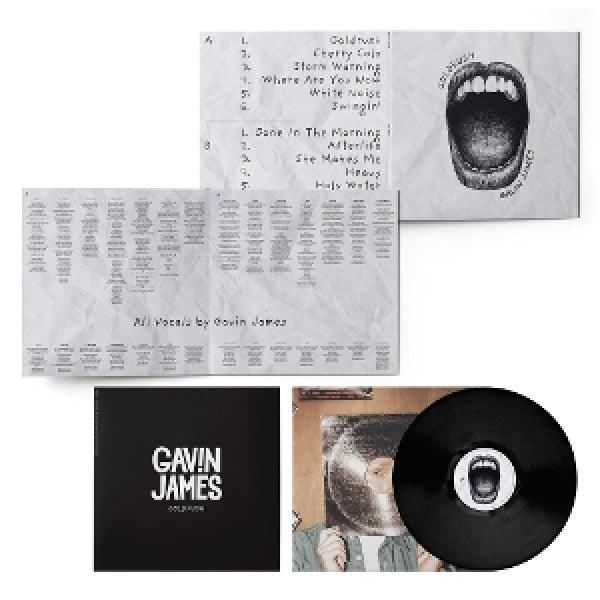 Gavin James - Goldrush (LP)