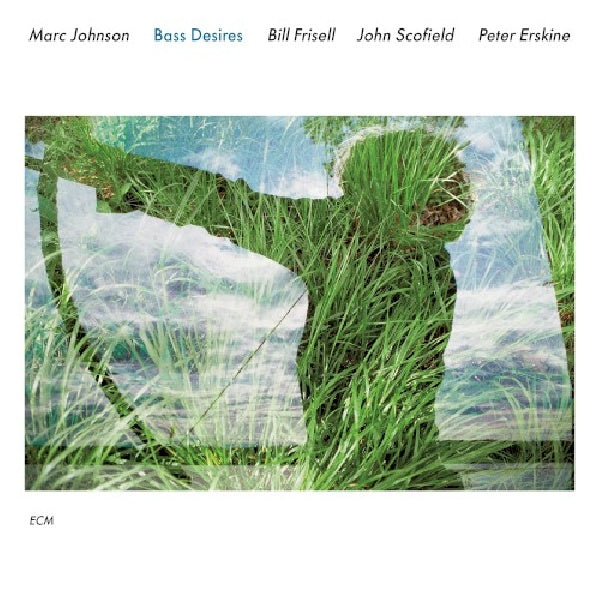 Bass Desires - Bass desires (CD) - Velvet Music
