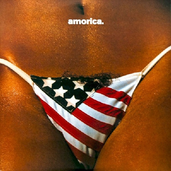 Black Crowes - Amorica (LP) - Velvet Music