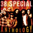Thirty Eight Special - Anthology -34tr- (CD) - Velvet Music