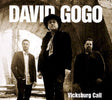 David Gogo - Vicksburg call (CD) - Velvet Music