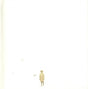 Clogs - Lullaby for sue (CD) - Velvet Music