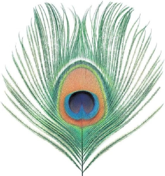 Xtc - Apple venus vol. i (CD) - Velvet Music