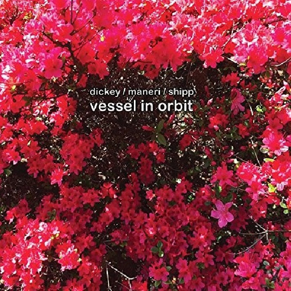 Matthew Shipp - Vessel in orbit (CD) - Velvet Music