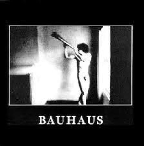Bauhaus - In the flat field (LP) - Velvet Music