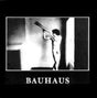 Bauhaus - In the flat field (LP) - Velvet Music