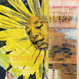 Robert Pollard - Not in my airforce (LP) - Velvet Music