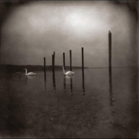 Om - Conference of the birds (LP) - Velvet Music