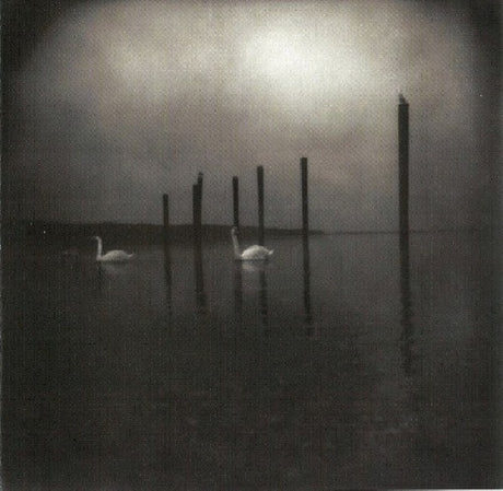 Om - Conference of the birds (CD) - Velvet Music