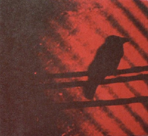 Silver Mt. Zion - Born into trouble as the sparks fly upward (CD) - Velvet Music