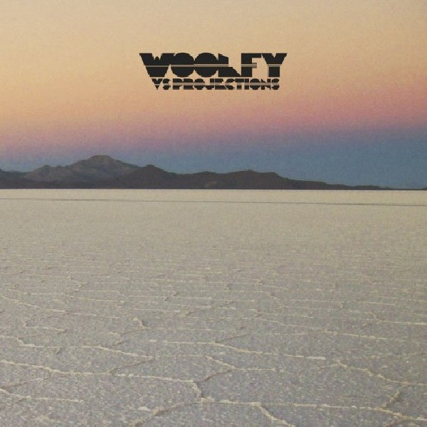 Woolfy Vs Projections - Stations (CD) - Velvet Music