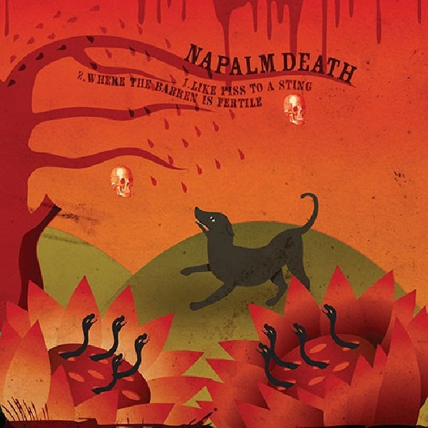 Napalm Death/melt-banana - Split (7-inch single) - Velvet Music