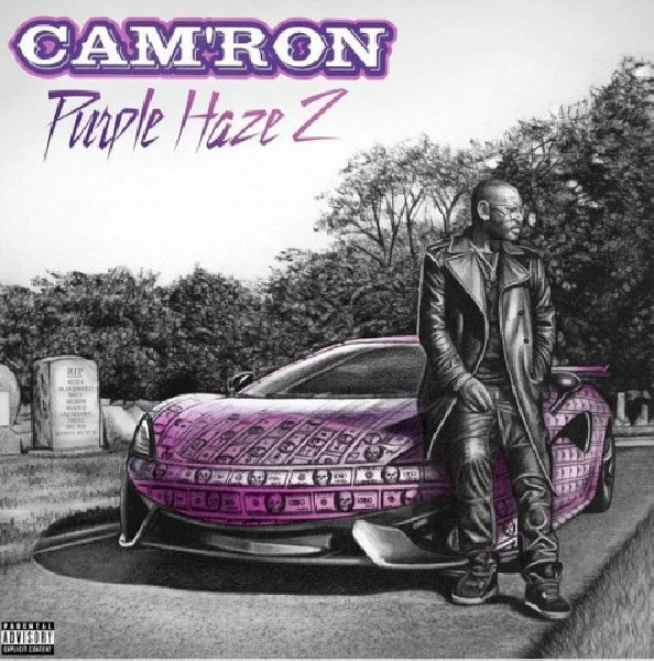 Cam'ron - Purple haze 2 (LP)