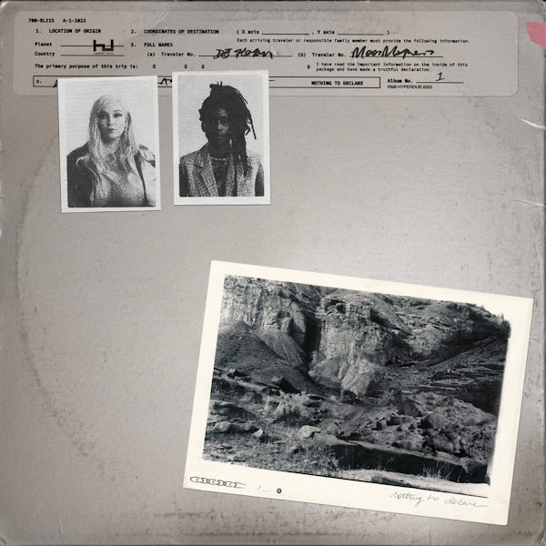 Sevenhundred Bliss - Nothing to declare (LP)