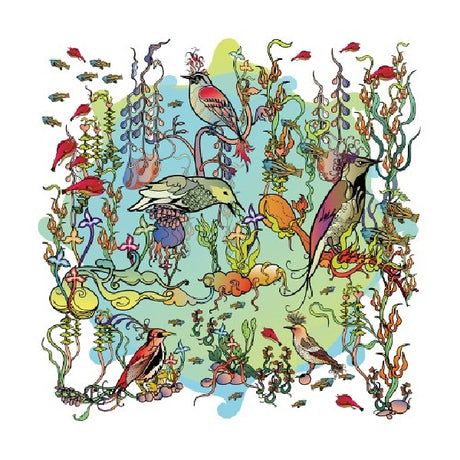 John Zorn - O'o (CD) - Velvet Music