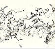 John Zorn - There is no more firmament (CD) - Velvet Music