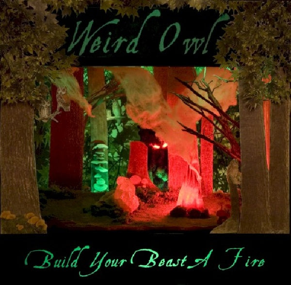 Weird Owl - Build your beast a fire (CD)