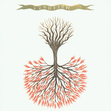 Lungfish - Love is love (CD) - Velvet Music