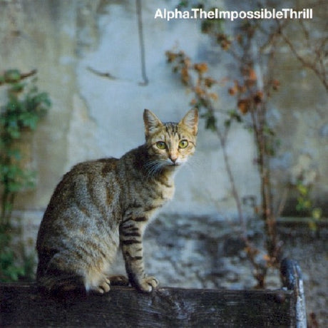 Alpha - Impossible thrill (CD) - Velvet Music