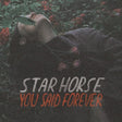 Star Horse - You said forever (LP) - Velvet Music