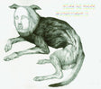 Thee Oh Sees - Putrifiers ii (CD) - Velvet Music