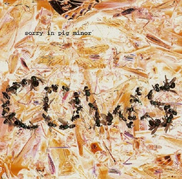 Cows - Sorry in pig minor (CD) - Velvet Music