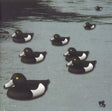 Merzbow - 13 japanese birds vol.6 (CD) - Velvet Music