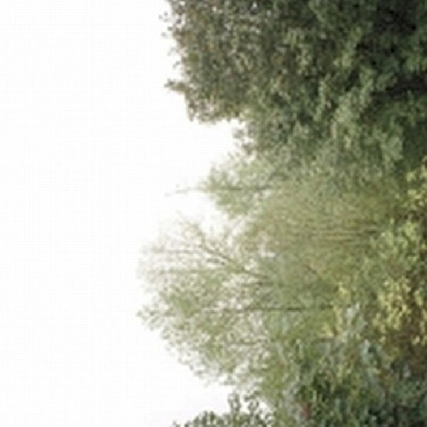 Growing - Soul of the rainbow & the (CD) - Velvet Music