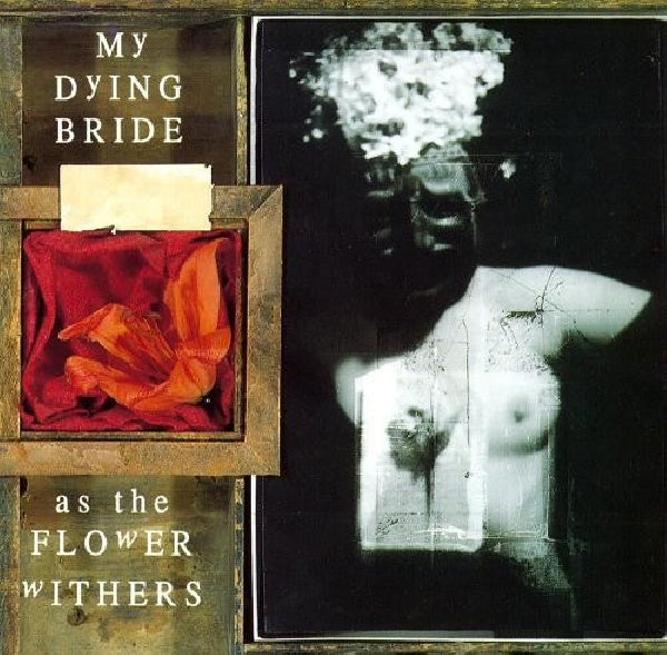 My Dying Bride - As the flower withers (CD) - Velvet Music