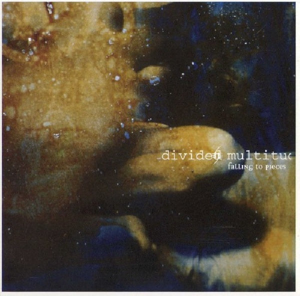 Divided Multitude - Falling to pieces (CD) - Velvet Music