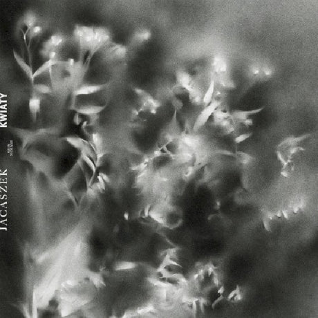 Jacaczek - Kwiaty (CD) - Velvet Music