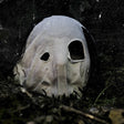 Faceless - In becoming a ghost (CD) - Velvet Music