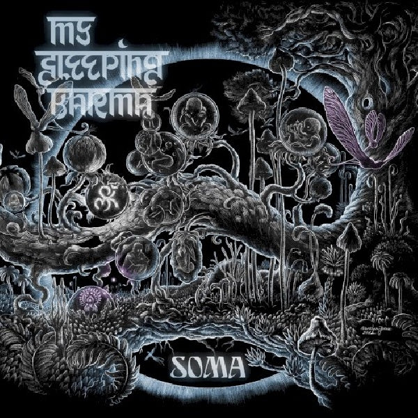 My Sleeping Karma - Soma (CD) - Velvet Music