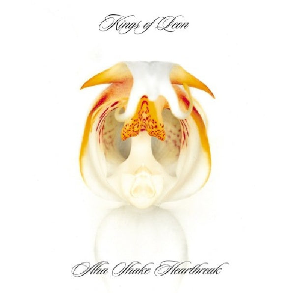Kings Of Leon - Aha shake heartbreak (CD)