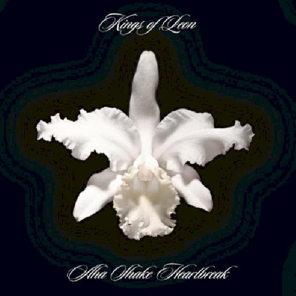 Kings Of Leon - A-ha shake heartbreak (CD)